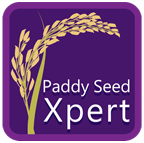 paddyseed expert (NRRI)